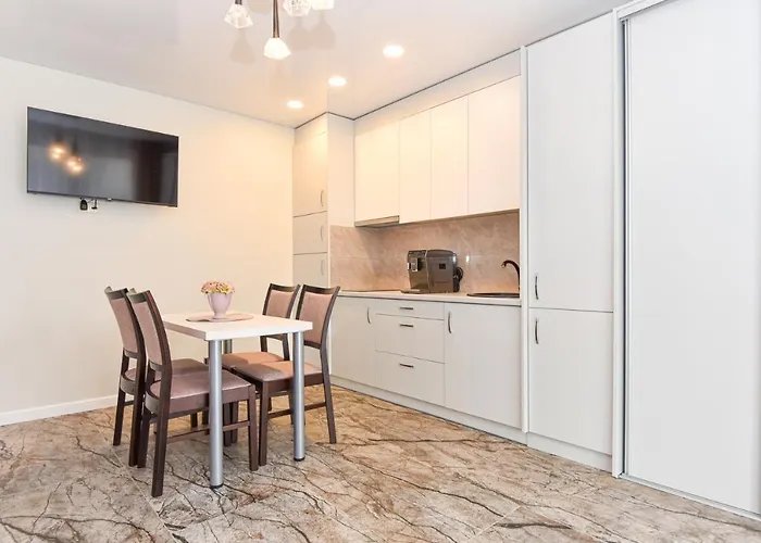 アパート Sermiescio Apartamentai パランガ