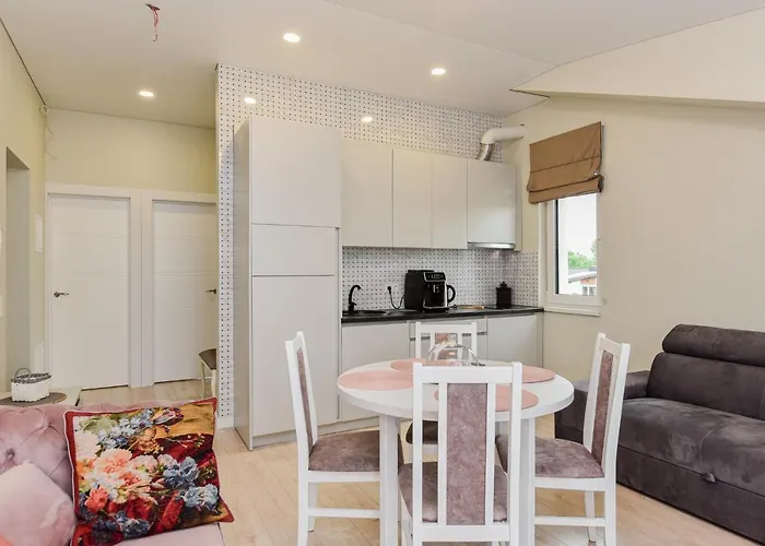 アパート Sermiescio Apartamentai パランガ